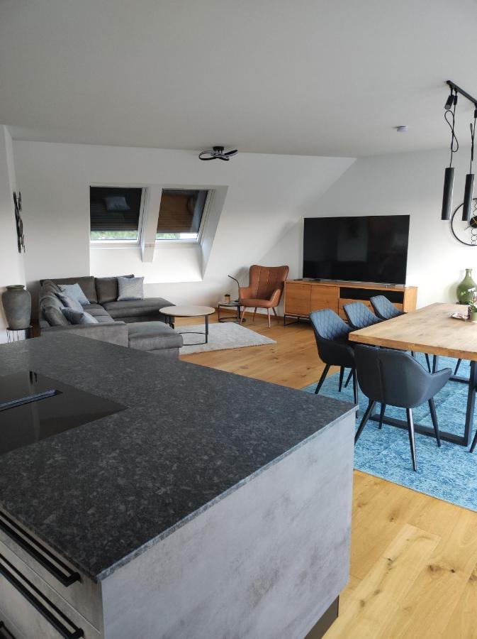 Luxurioeses Penthouse Mit Blick Auf Die Uno-City Und Dem Kaiserwasser. 3Schlafzimmer, 2 Baeder, Privat Lift Ins Apartment Wiedeń Zewnętrze zdjęcie