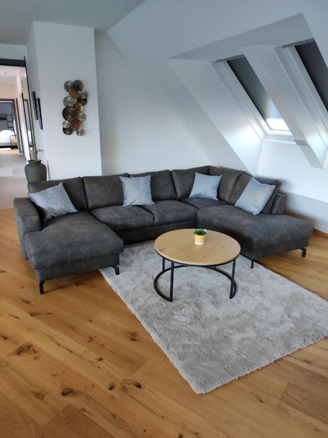 Luxurioeses Penthouse Mit Blick Auf Die Uno-City Und Dem Kaiserwasser. 3Schlafzimmer, 2 Baeder, Privat Lift Ins Apartment Wiedeń Zewnętrze zdjęcie